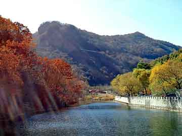 新澳天天开奖资料大全旅游团，电视塔牌油漆